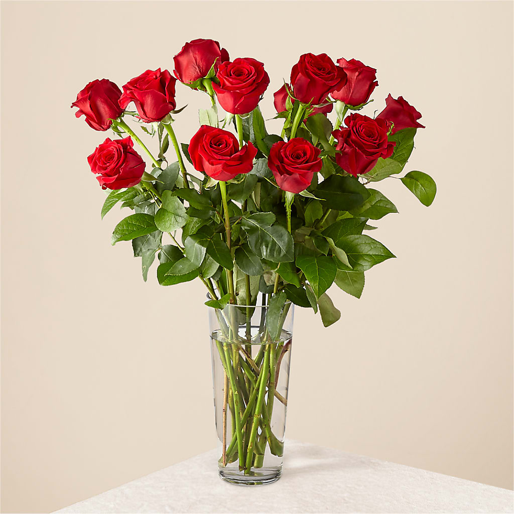 Long Stem Red Rose Bouquet – Berkeley Florist, Moncks Corner SC