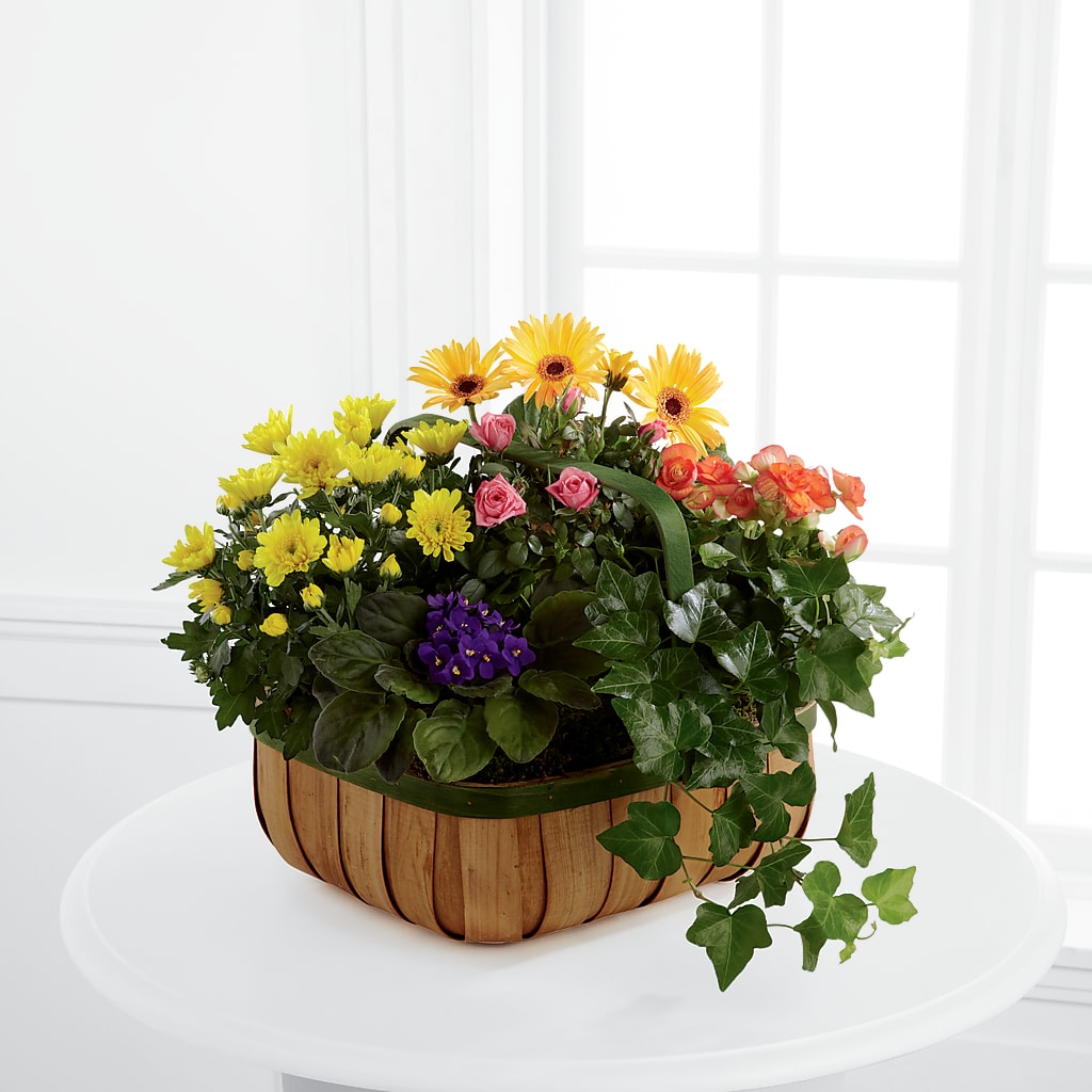 Gentle Blossoms Basket – Berkeley Florist, Moncks Corner SC