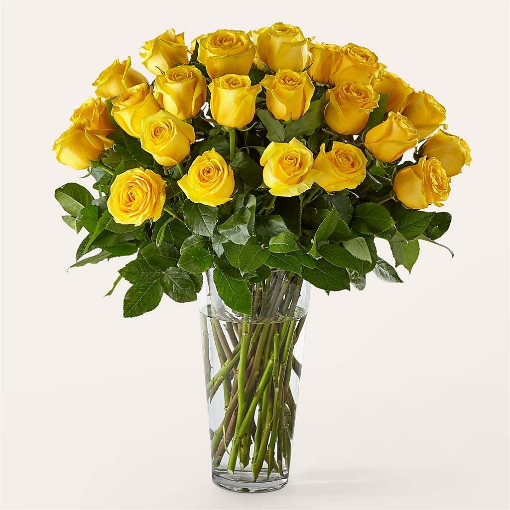 Long Stem Yellow Rose Bouquet – Berkeley Florist, Moncks Corner SC