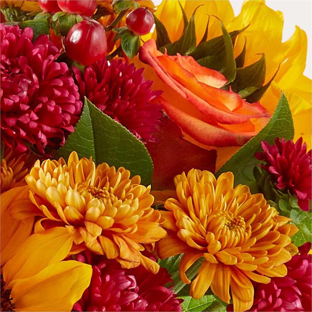 Sweater Season - A Florist Original – Berkeley Florist, Moncks Corner SC