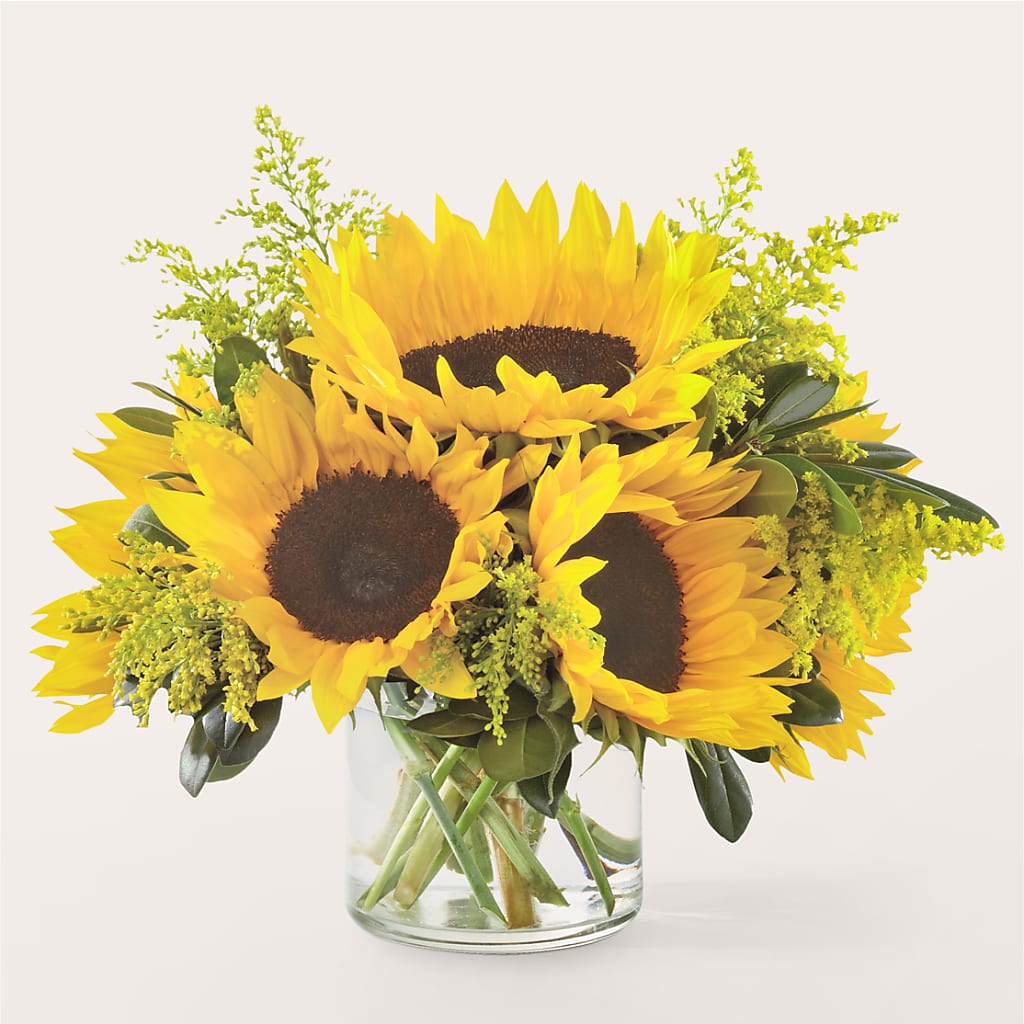 Beaming Sunflower Bouquet – Berkeley Florist, Moncks Corner SC