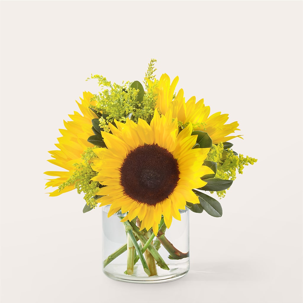 Beaming Sunflower Bouquet – Berkeley Florist, Moncks Corner SC
