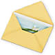 Greeting Card – Berkeley Florist, Moncks Corner SC