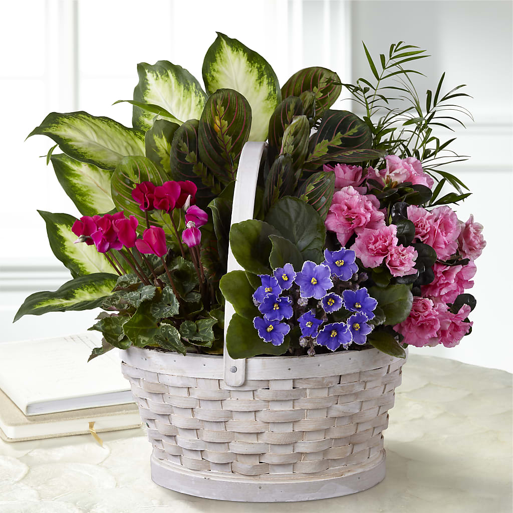 Peaceful Garden Planter – Berkeley Florist, Moncks Corner SC