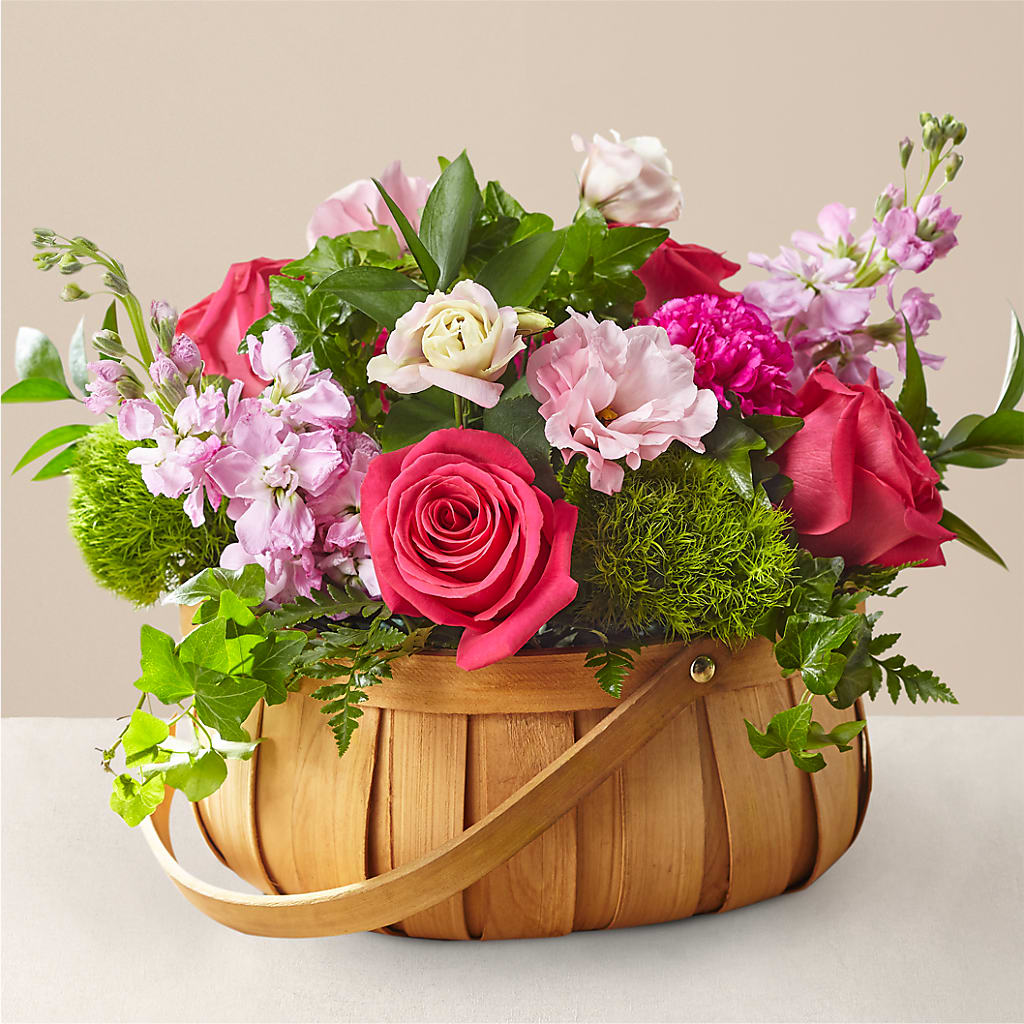 Radiance in Bloom Basket – Berkeley Florist, Moncks Corner SC