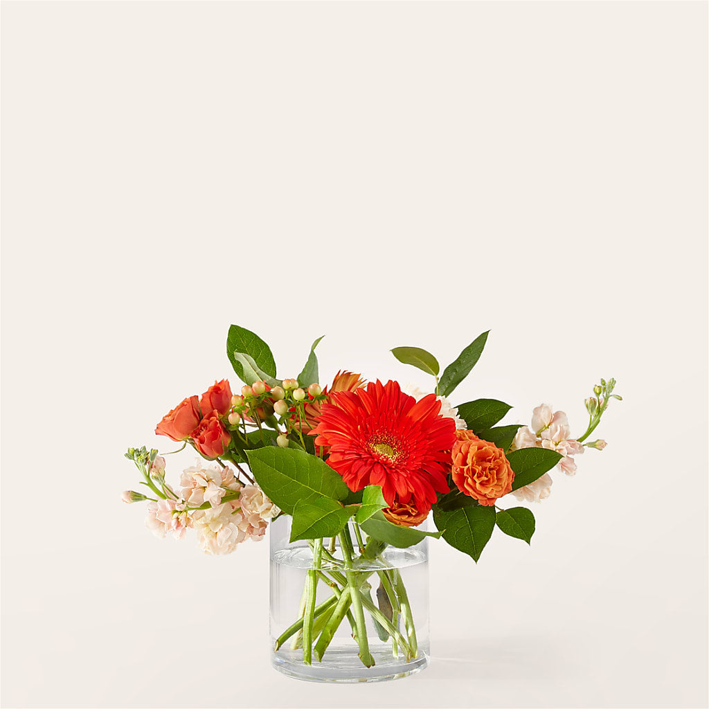 Paloma Please Bouquet – Berkeley Florist, Moncks Corner SC