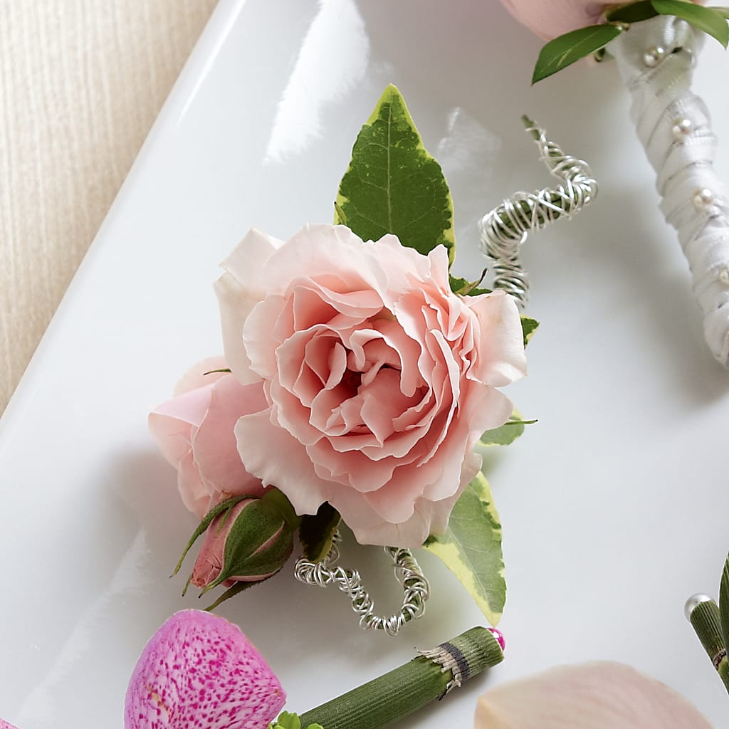 Pink Spray Rose Boutonniere – Berkeley Florist, Moncks Corner SC
