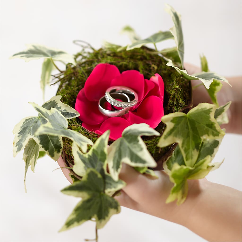 Lila Rose Ring Nest – Berkeley Florist, Moncks Corner SC