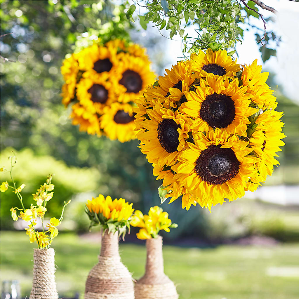 Sublime Garden Hanging Arrangement – Berkeley Florist, Moncks Corner SC
