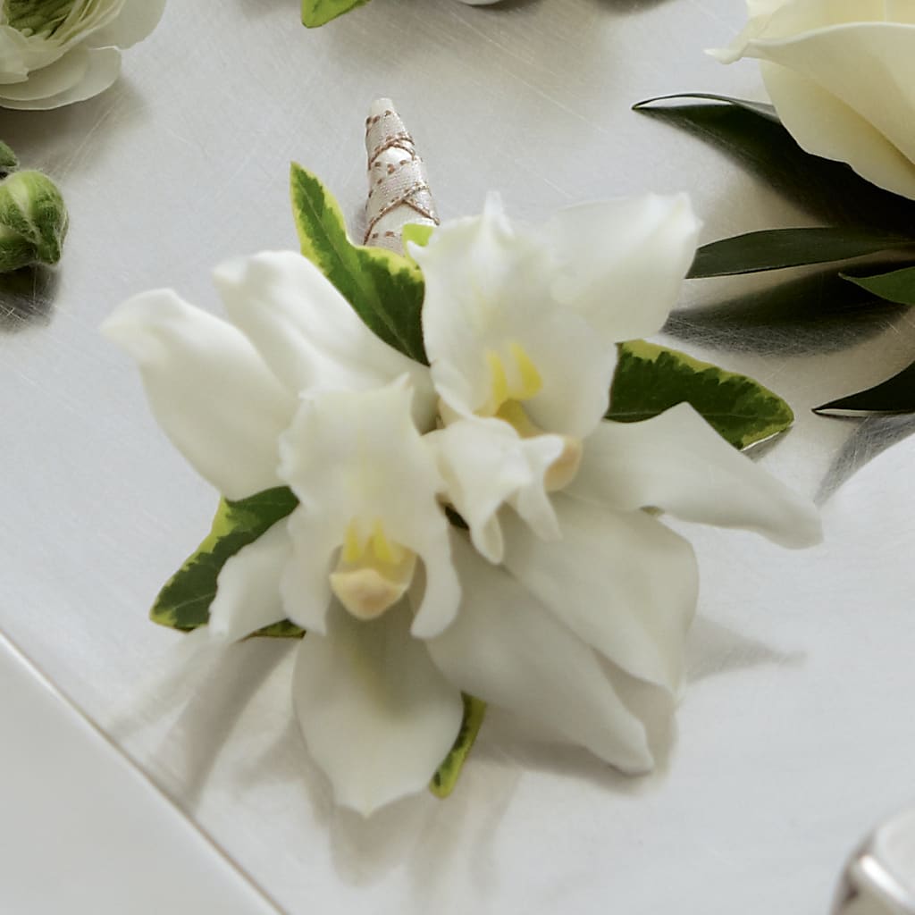White Mini Cymbidium Boutonniere – Berkeley Florist, Moncks Corner SC