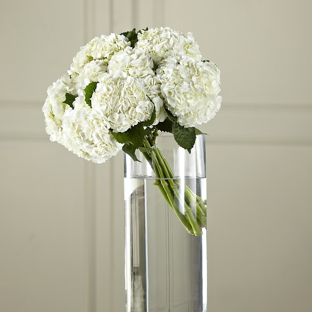 White Hydrangea Hand-Tied Bouquet – Berkeley Florist, Moncks Corner SC