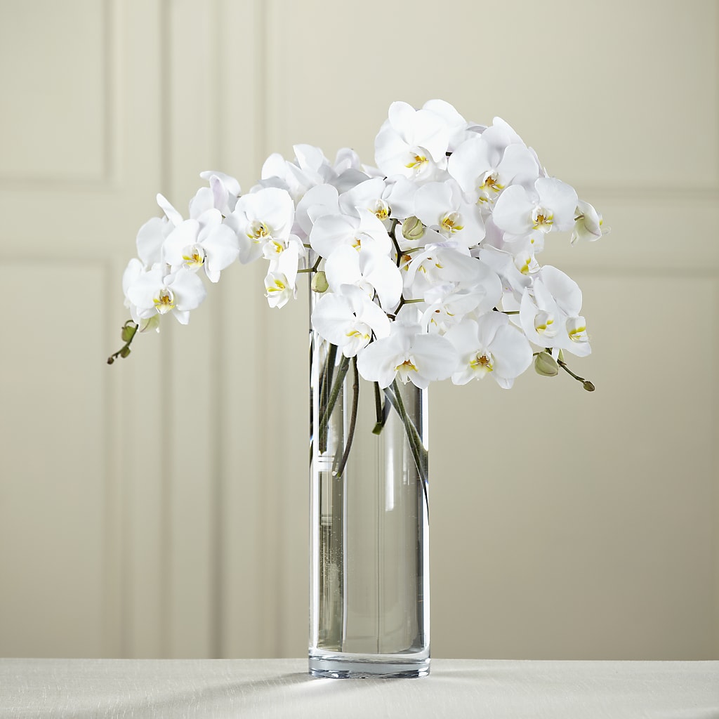 White Phalaenopsis Bouquet – Berkeley Florist, Moncks Corner SC