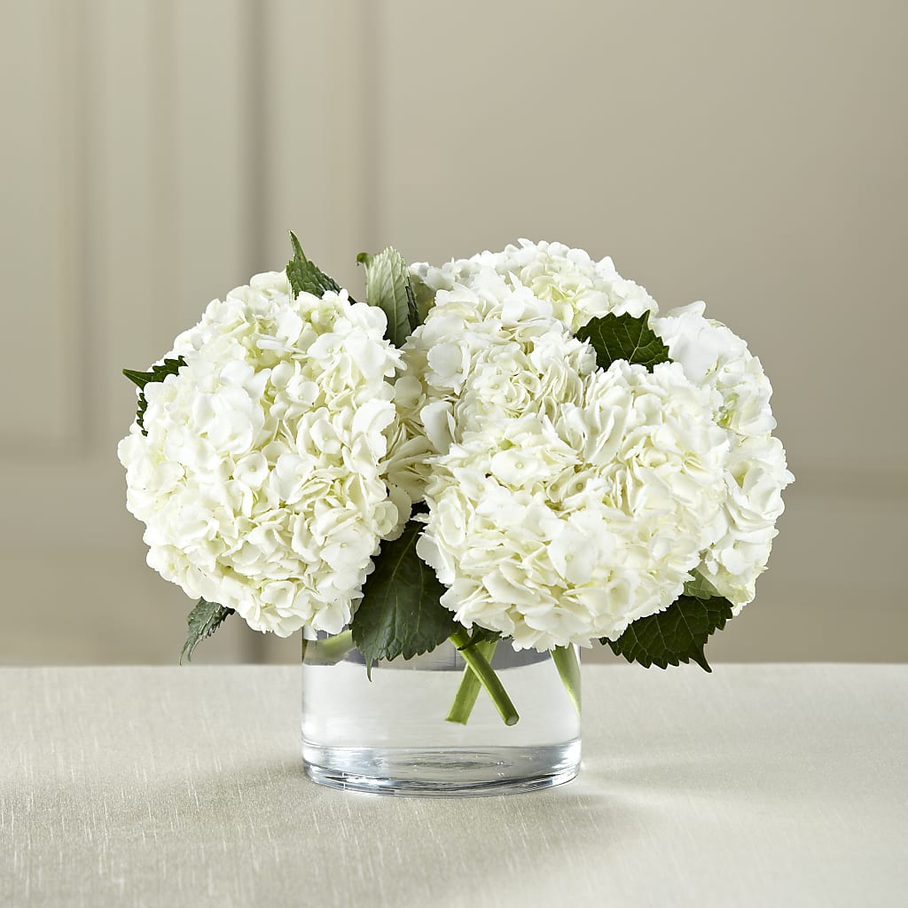 White Hydrangea Bouquet – Berkeley Florist, Moncks Corner SC