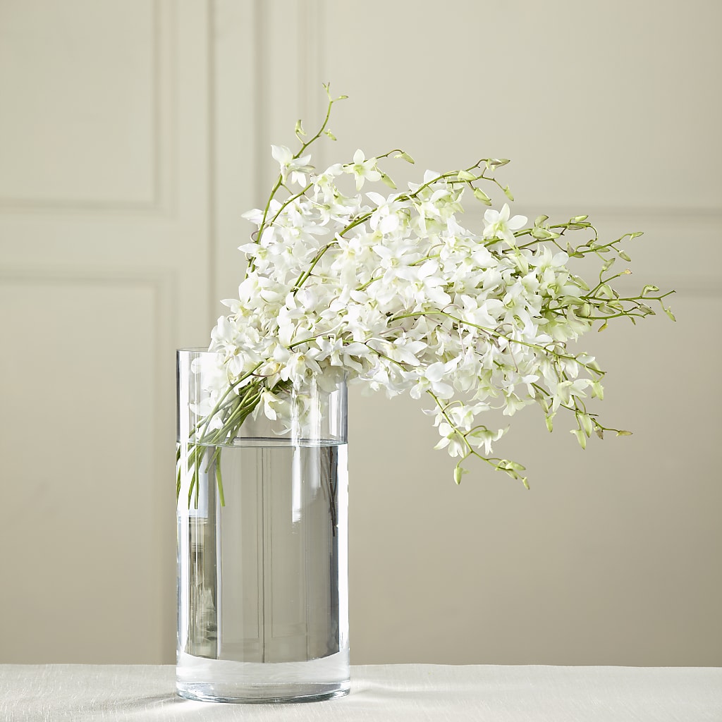 White Dendrobium Bouquet – Berkeley Florist, Moncks Corner SC