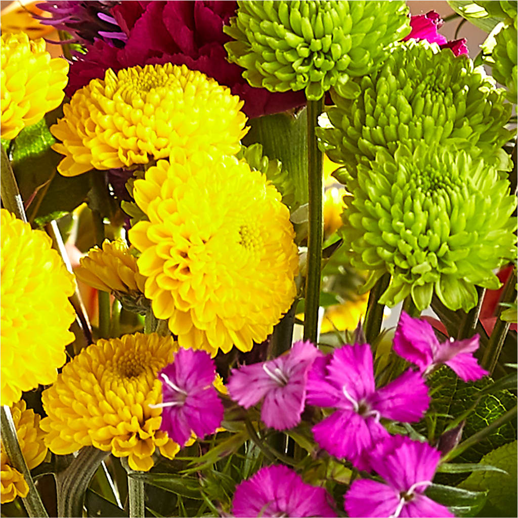 Bold & Bright – A Florist Original –  Berkeley Florist, Moncks Corner SC