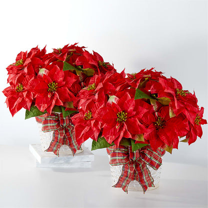Happiest Holidays Poinsettia Bundle –  Berkeley Florist, Moncks Corner SC