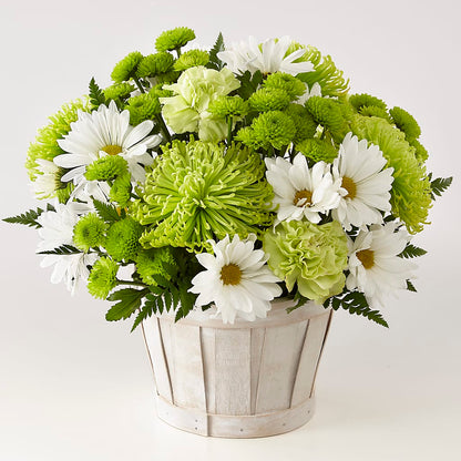 Lucky Charm Basket (Standard) –  Berkeley Florist, Moncks Corner SC