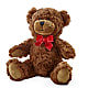 Adorable Plush Bear –  Berkeley Florist, Moncks Corner SC
