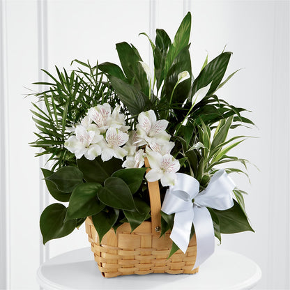Peace & Serenity Dishgarden –  Berkeley Florist, Moncks Corner SC