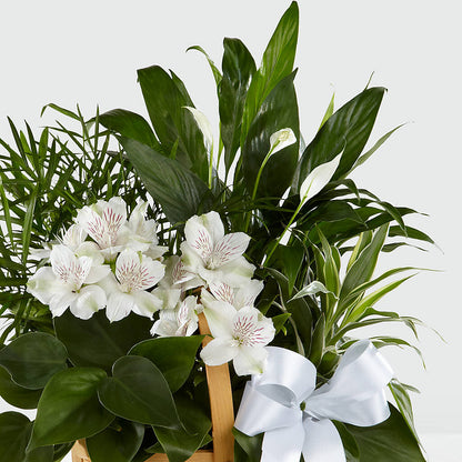 Peace & Serenity Dishgarden –  Berkeley Florist, Moncks Corner SC