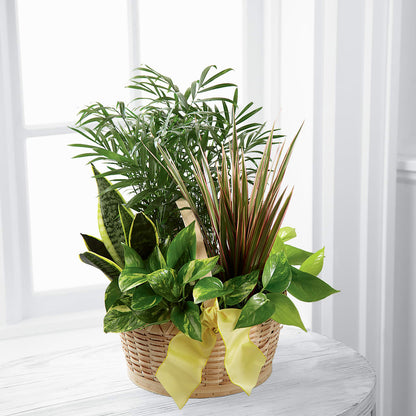 French Garden –  Berkeley Florist, Moncks Corner SC