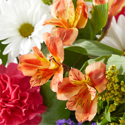 Oopsie Daisy Box Bouquet –  Berkeley Florist, Moncks Corner SC