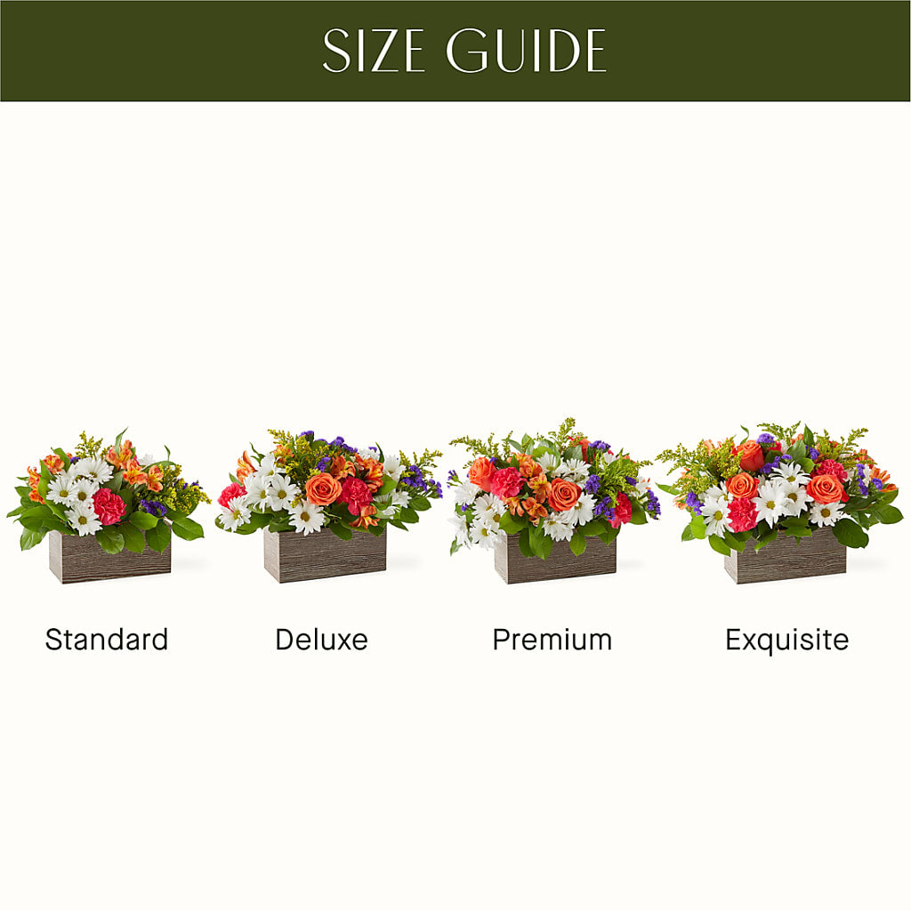 Oopsie Daisy Box Bouquet –  Berkeley Florist, Moncks Corner SC