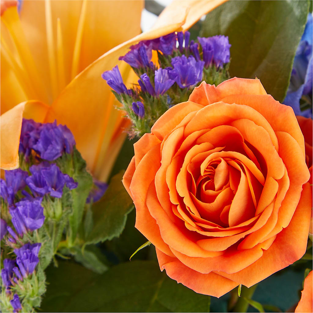 Radiant Citrus Box Bouquet –  Berkeley Florist, Moncks Corner SC