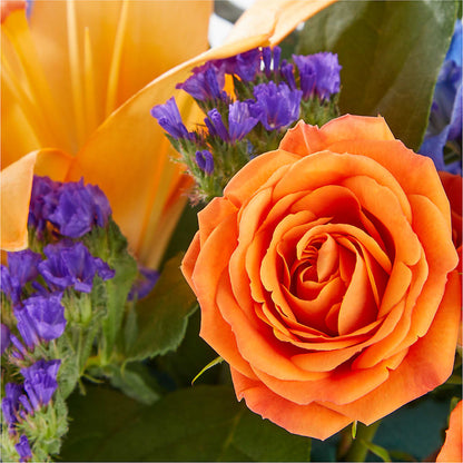 Radiant Citrus Box Bouquet –  Berkeley Florist, Moncks Corner SC
