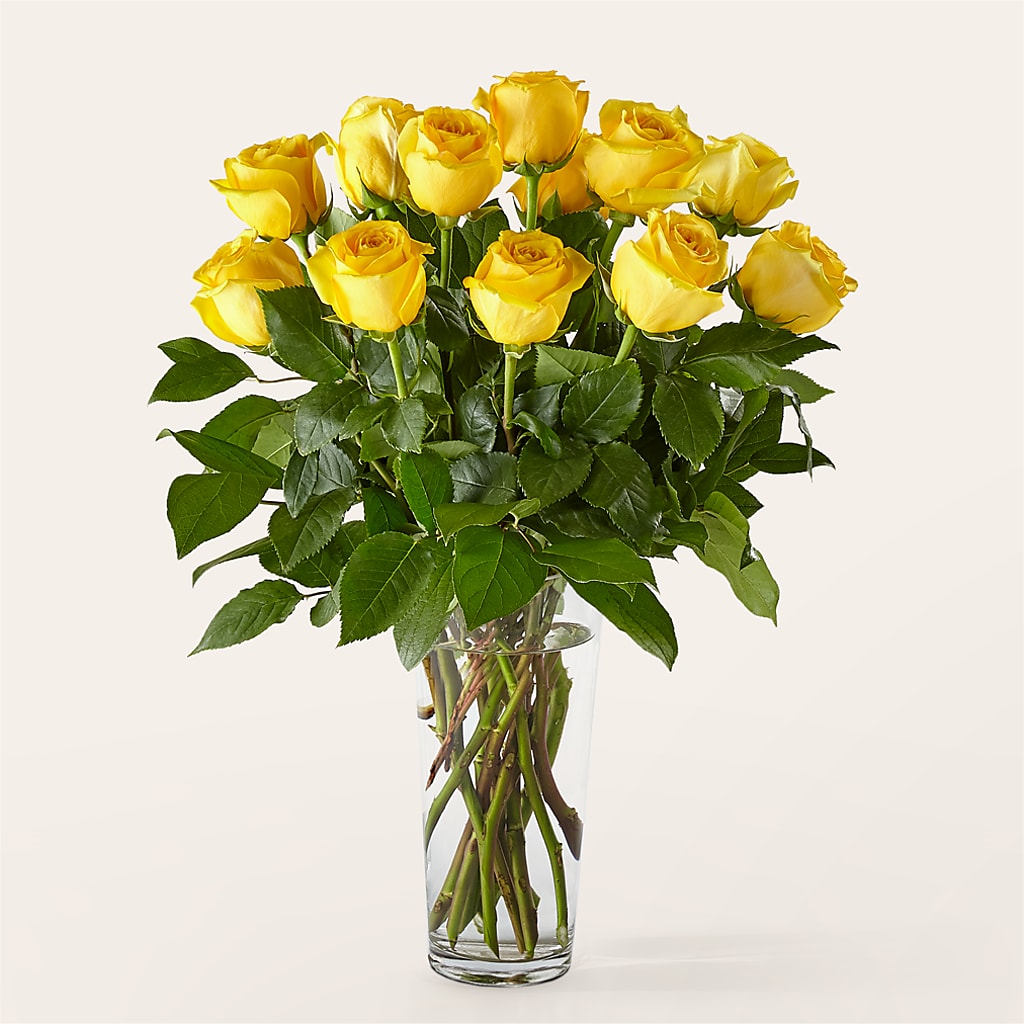 Long Stem Yellow Rose Bouquet –  Berkeley Florist, Moncks Corner SC