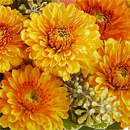 Peachy Pumpkin –  Berkeley Florist, Moncks Corner SC
