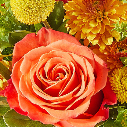 Gourdgeous Pumpkin –  Berkeley Florist, Moncks Corner SC