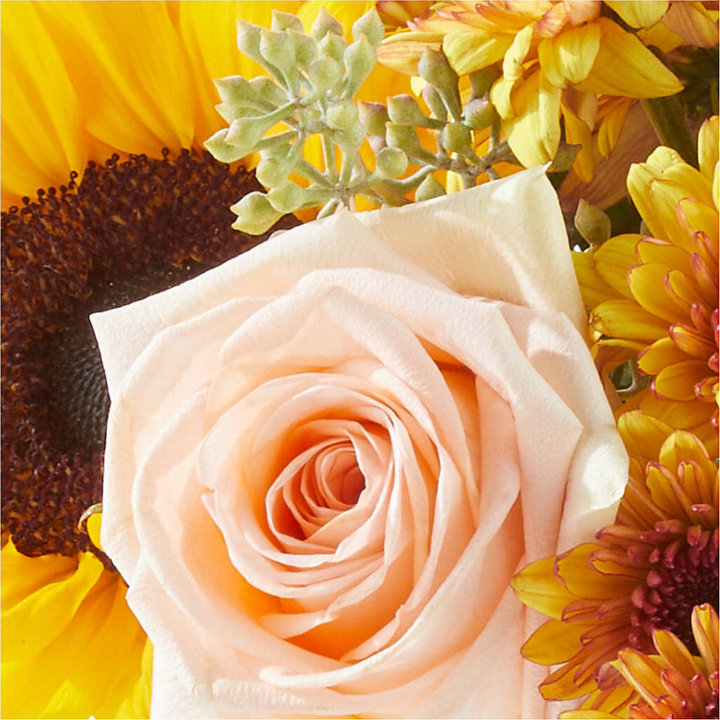 Pumpkin to Talk About Bouquet –  Berkeley Florist, Moncks Corner SC