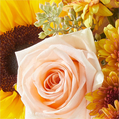 Pumpkin to Talk About Bouquet –  Berkeley Florist, Moncks Corner SC