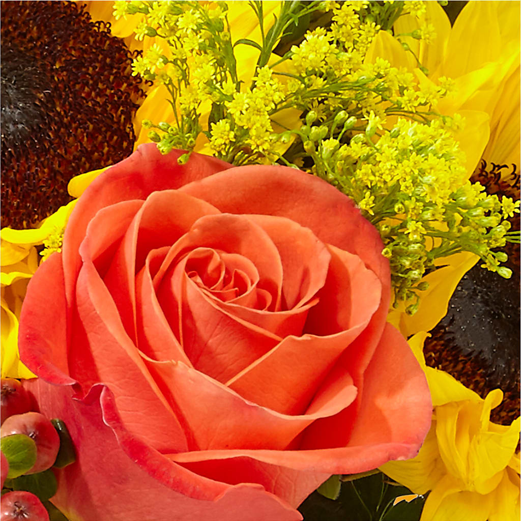 Pick of the Patch Pumpkin Bouquet –  Berkeley Florist, Moncks Corner SC