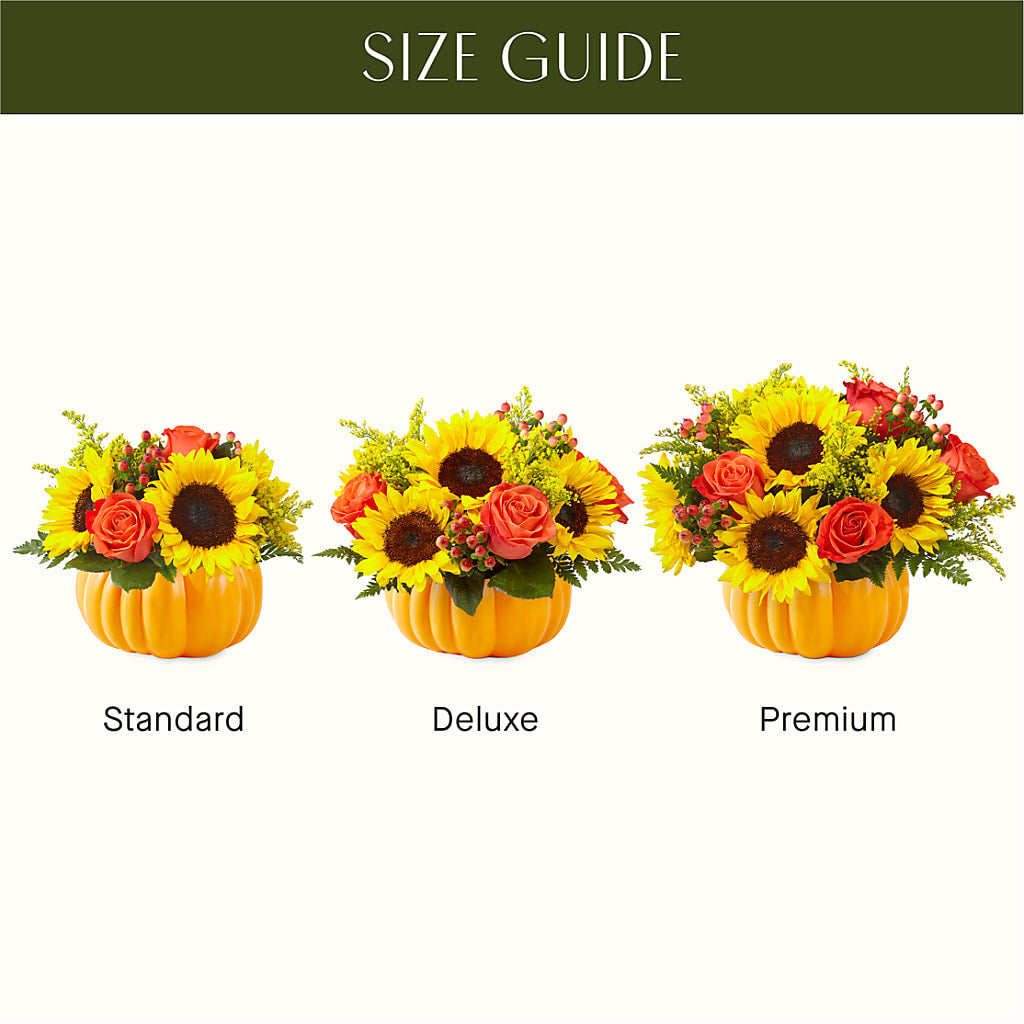 Pick of the Patch Pumpkin Bouquet –  Berkeley Florist, Moncks Corner SC