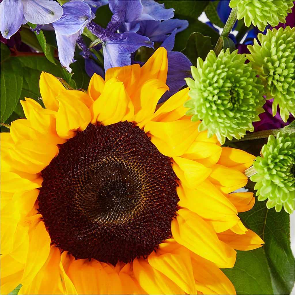Catching Rays Bouquet –  Berkeley Florist, Moncks Corner SC