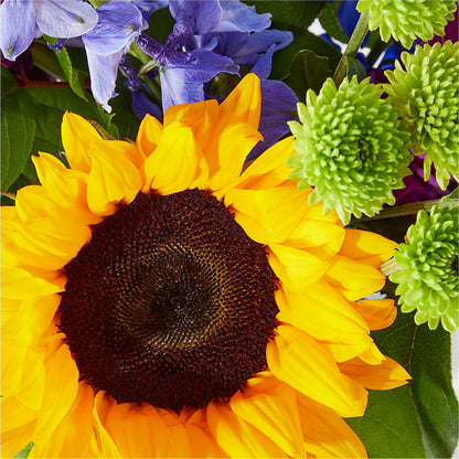 Catching Rays Bouquet –  Berkeley Florist, Moncks Corner SC