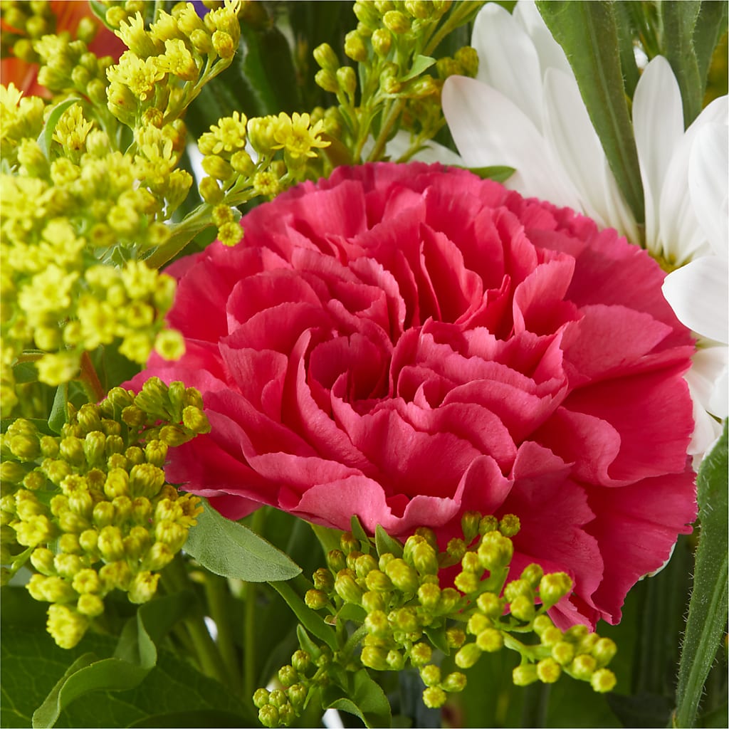 Oopsie Daisy Bouquet –  Berkeley Florist, Moncks Corner SC