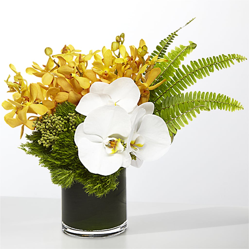 The Tropics –  Berkeley Florist, Moncks Corner SC