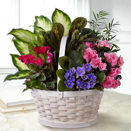 Peaceful Garden Planter –  Berkeley Florist, Moncks Corner SC
