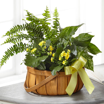 Always Dear Dishgarden –  Berkeley Florist, Moncks Corner SC