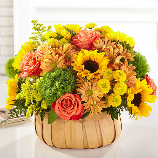 Harvest Sunflower Basket –  Berkeley Florist, Moncks Corner SC