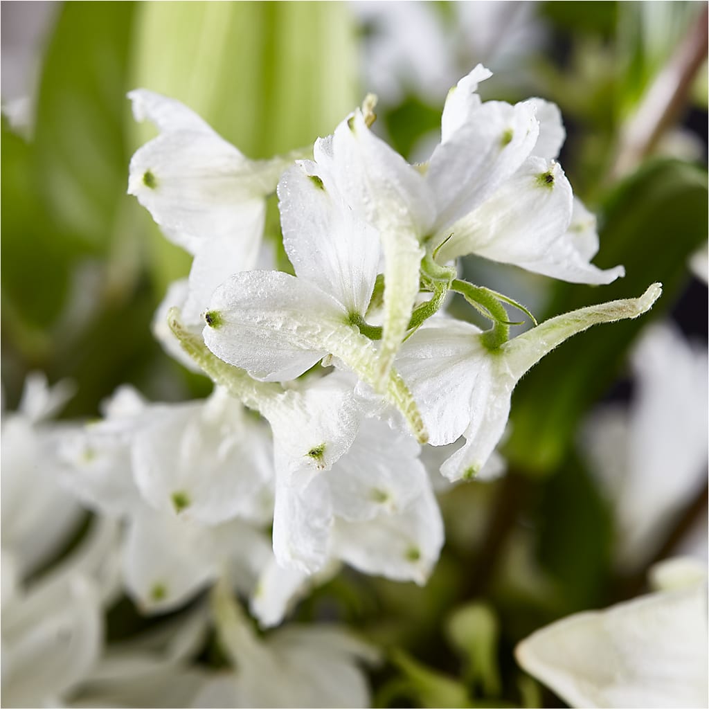 Classic Ivory – A Florist Original –  Berkeley Florist, Moncks Corner SC