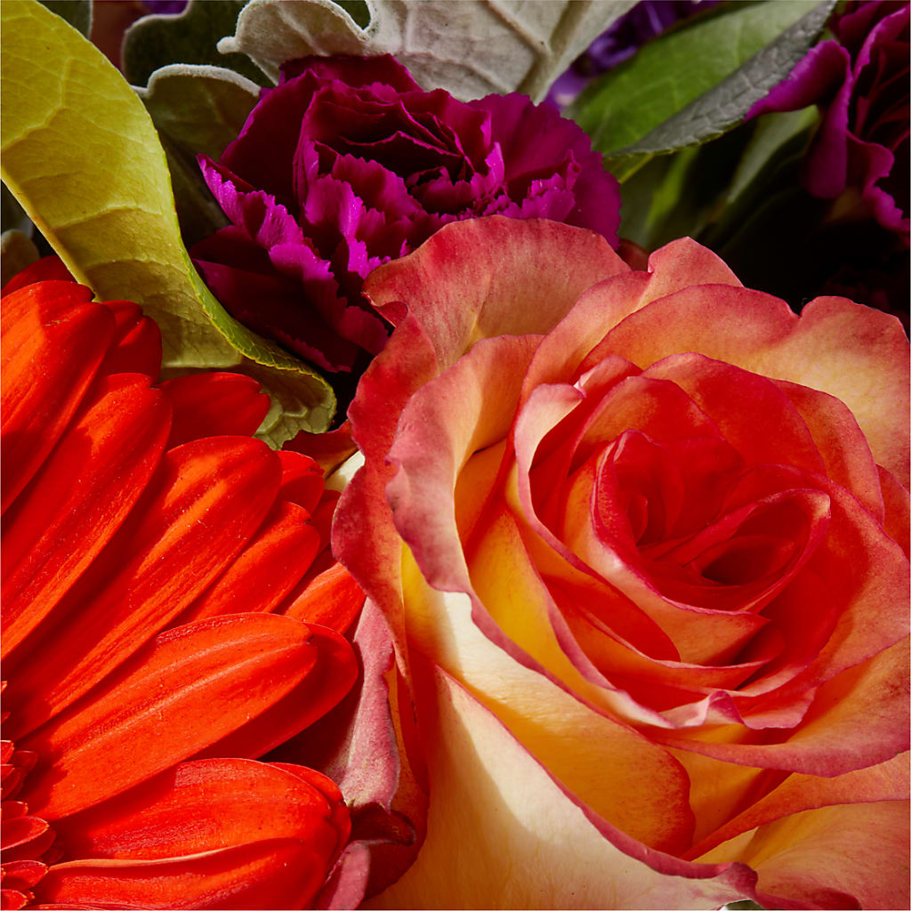 Sangria Bouquet –  Berkeley Florist, Moncks Corner SC