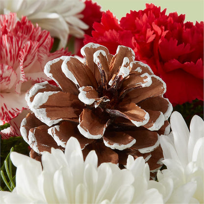 Candy Cane Lane Bouquet –  Berkeley Florist, Moncks Corner SC