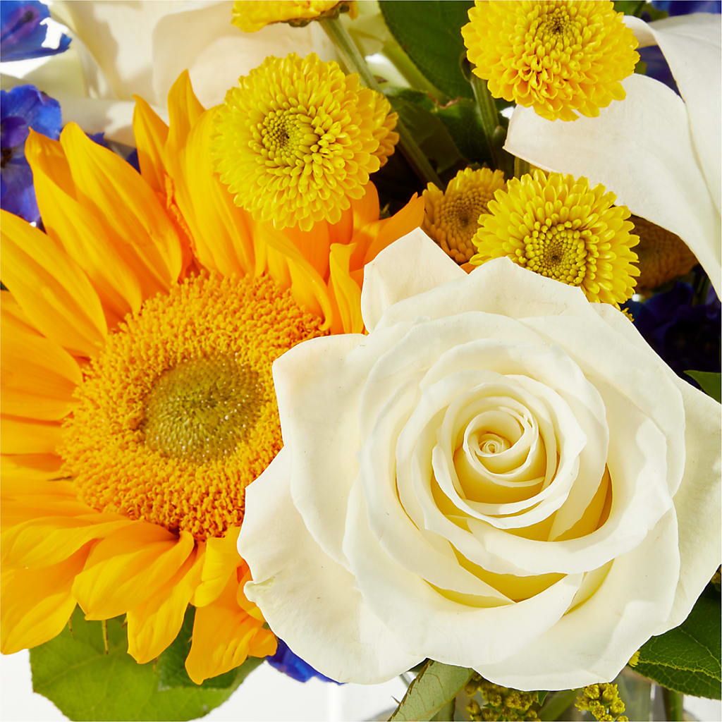 Stargazing Bouquet –  Berkeley Florist, Moncks Corner SC