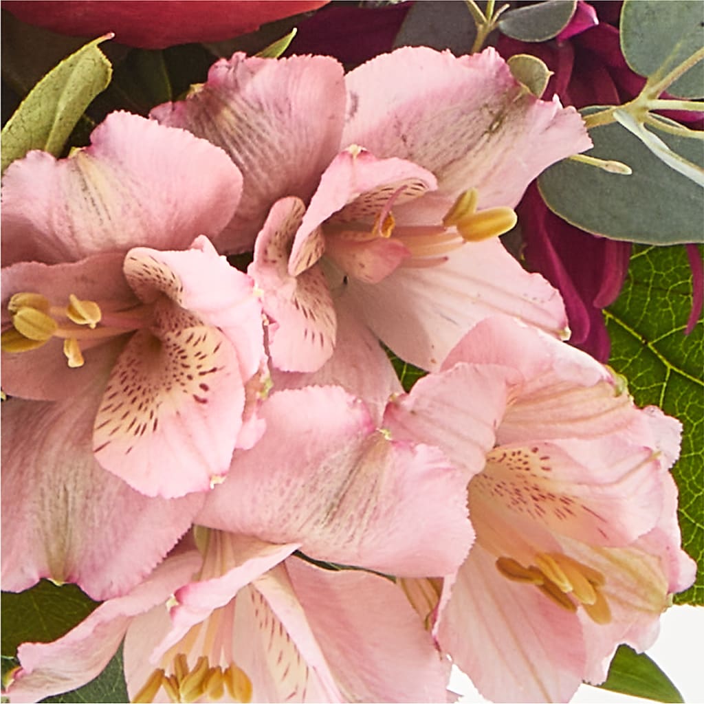 Berry Cobbler Bouquet –  Berkeley Florist, Moncks Corner SC