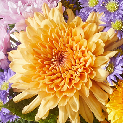 Countryside Bouquet –  Berkeley Florist, Moncks Corner SC