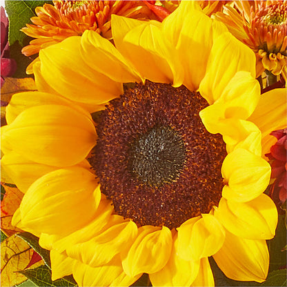 Sunny Side Bouquet –  Berkeley Florist, Moncks Corner SC
